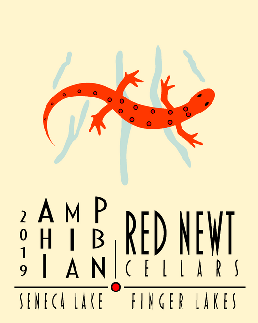 2019 Amphibian